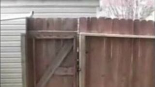 Freaky Knees - porn video